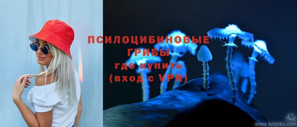 спайс Алексин